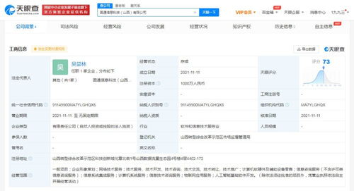 软件开发 过程、挑战与未来趋势