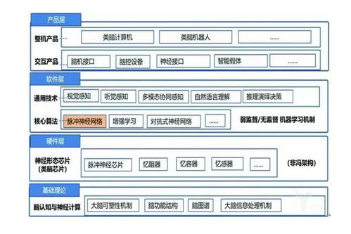 类脑智能 人工智能基础软件开发的另一条路径